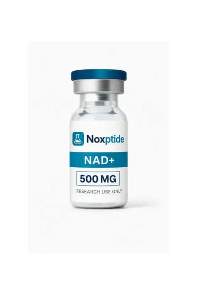 NAD+ 500 mg research peptide vial — Noxptide, ≥99% (HPLC) purity, UK COA verified